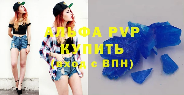 хмурый Аркадак