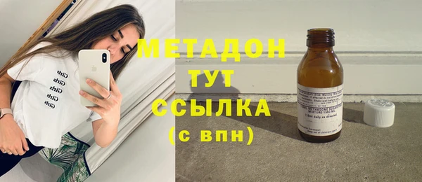 хмурый Аркадак