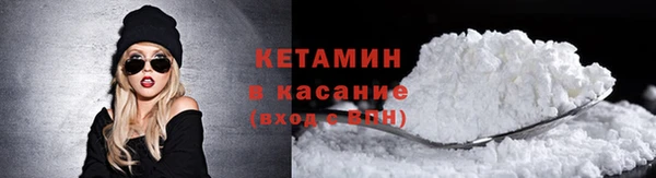 шишки Арсеньев