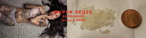 шишки Арсеньев
