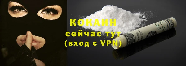 шишки Арсеньев