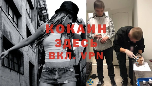 хмурый Аркадак