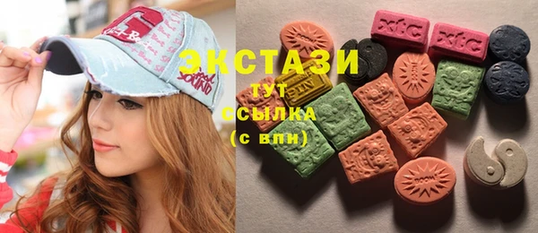 хмурый Аркадак