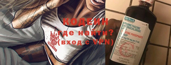 хмурый Аркадак