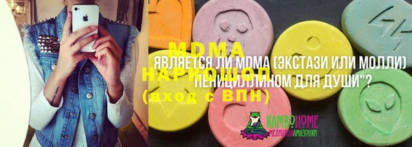 хмурый Аркадак