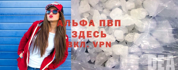 шишки Арсеньев
