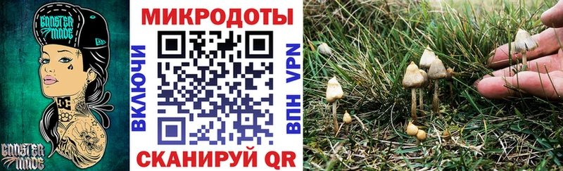 Псилоцибиновые грибы GOLDEN TEACHER  hydra сайт  Лихославль 
